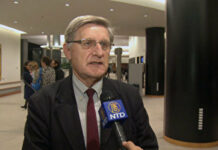 Willy Fautré: “There are serious human rights violations in Latvia related to the discriminatory status of the Russian-speaking minority”