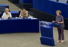 TATJANA ZDANOKA: EUROPEAN CITIZENSHIP CRASHES ON THE PROBLEM OF OUR NON-CITIZENS