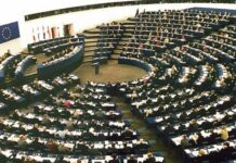 «День экологии» в Европейском Парламенте