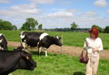 Улыбка ушла, а кошка осталась