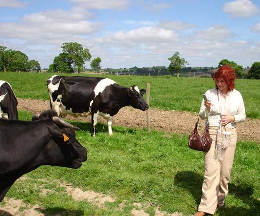 fs_0_1455744946_1855