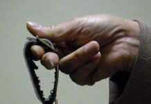 В Штабе засели интернационалисты и националисты