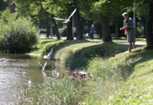 Дачи в центре Риги