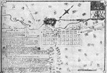 Ананас из Режицы