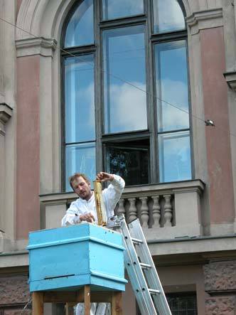 fs_0_1455744976_1363