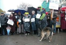 «А петля все туже, туже…»