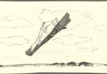 Третья альтернатива,