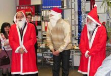 Новогодний дубль