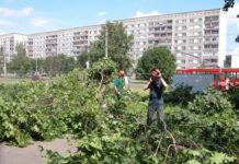 Лесоповал под запах утреннего кофе…