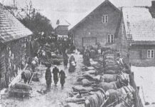 Предшественники Гитлера