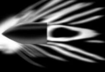 Отстрел офицеров