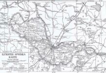 Самые покладистые