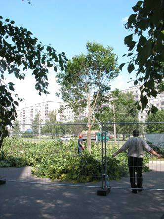 fs_0_1455745151_1641