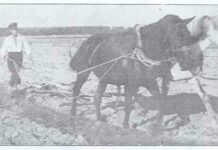 Защищая кошелек