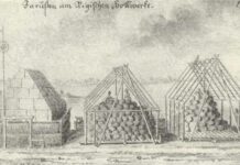 Огородный бизнес