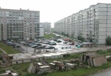 У крокодила прав в Риге больше, чем у горожан?