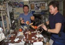 Плов из судака