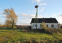 «Что ищешь ты в краю далеком?..»