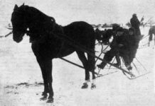 Была зима. Холодная. Очень…