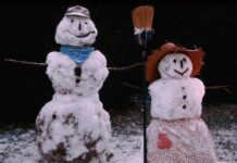 Снеговик и Степан