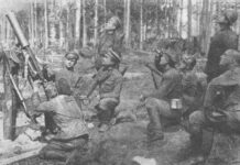 Легионеры с монархическим окрасом