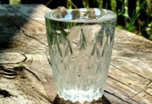 Хочешь жить – умей напиться!