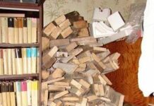 Пока еще не напрочь сгнило все…