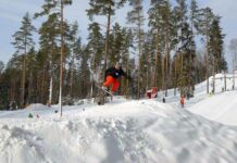 Восторг зимы