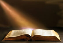 Книга станет предметом культа?