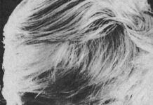 «…встреча с ним составляет событие жизни»