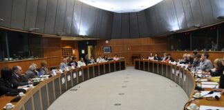 ЛЕВЫЕ АЛЬТЕРНАТИВЫ ДЛЯ ЕВРОПЫ