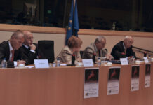 ЛЕВЫЕ АЛЬТЕРНАТИВЫ ДЛЯ ЕВРОПЫ