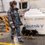 Доставка вакцины Спутник в грузовой терминал аэропорта