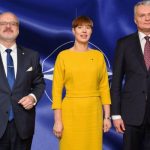 Президенты стран Балтии