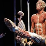 Gunther von Hagens’ Body Worlds exhibition in Moscow