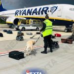Ryanair в аэропорту Минска