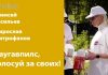 ДАУГАВПИЛС, ГОЛОСУЙ ЗА СВОИХ!