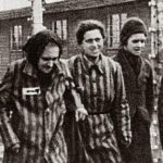 Красная Армия освобождает Освенцим