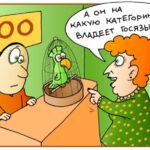 на какую категорию госязык у попугая