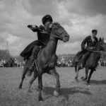 Соревнования в верховой езде Наездники Лошади