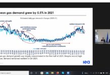“ПОЧЕМУ ЕС ДОЛЖЕН ВЫСТУПАТЬ ПРОТИВ РОССИЙСКОГО ГАЗА?”