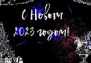 С НОВЫМ ГОДОМ, ДРУЗЬЯ!