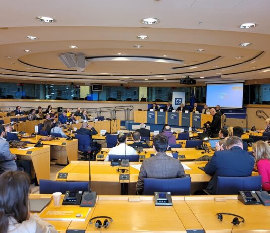 КАК В ЕВРОПАРЛАМЕНТЕ РОССИЮ ДЕЛИЛИ